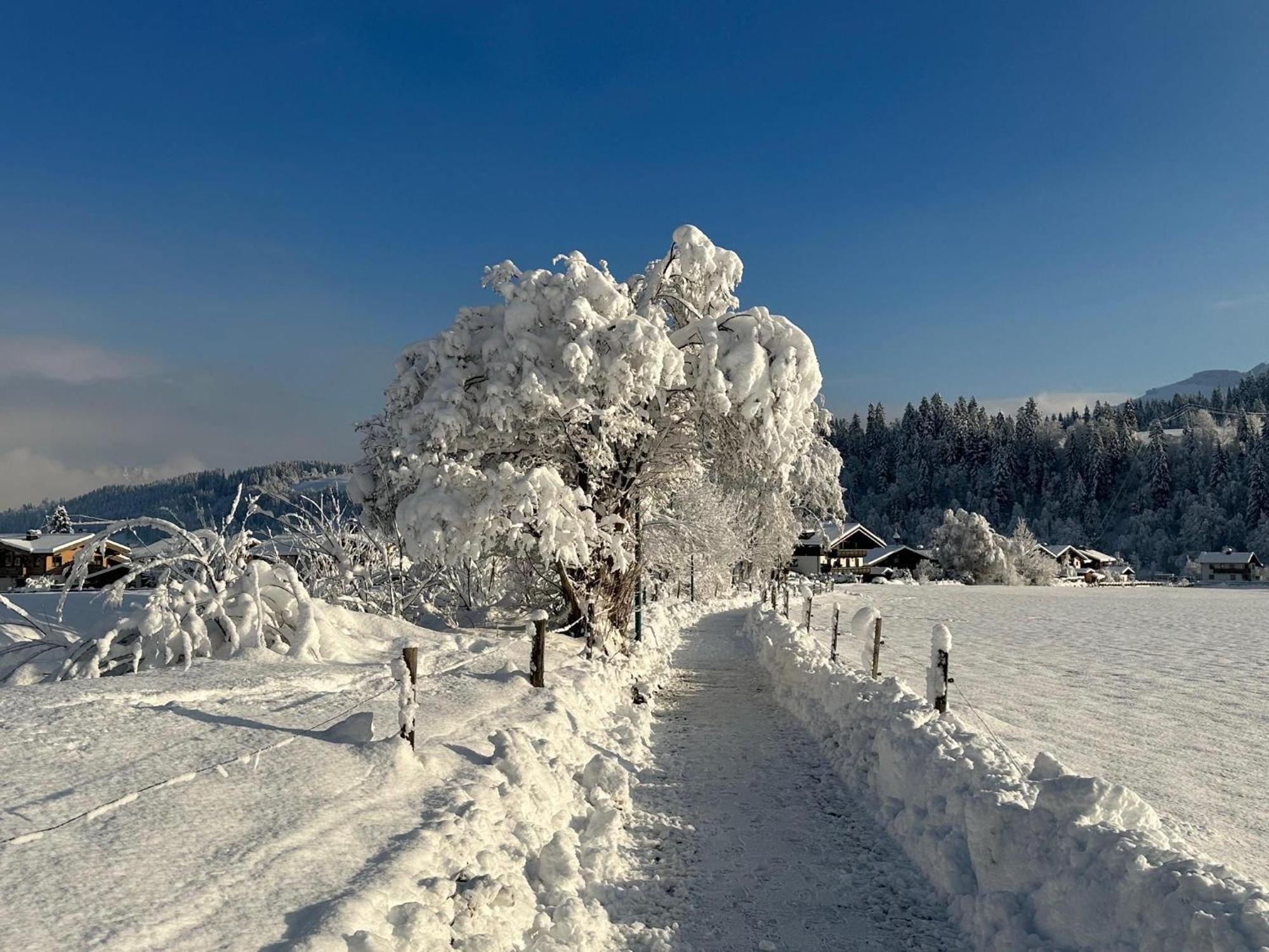 Pon-Apart Reith bei Kitzbühel Exteriör bild